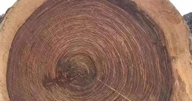 為什么說實木家具的色差是不可避免的？