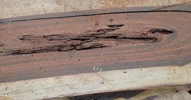 實木家具防治蟲蛀的方法